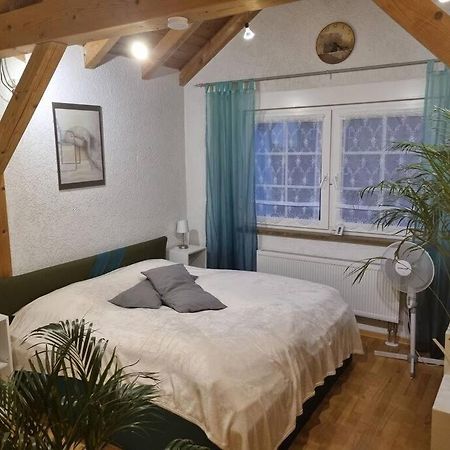 Gemuetliche Dachgeschosswohnung Erfurt Eksteriør bilde