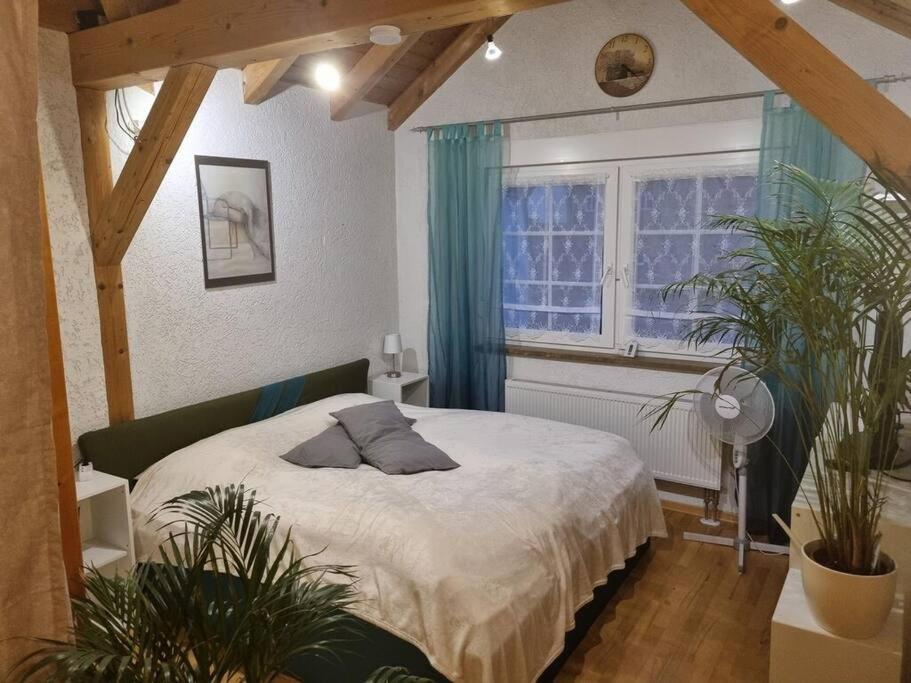 Gemuetliche Dachgeschosswohnung Erfurt Eksteriør bilde