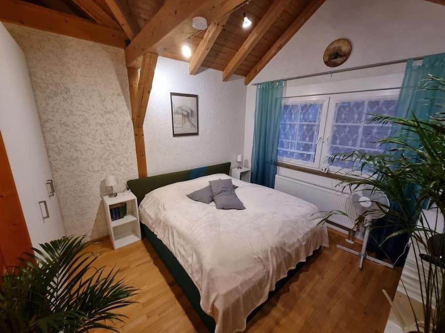 Gemuetliche Dachgeschosswohnung Erfurt Eksteriør bilde